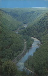 Pennsylvania's Grand Canyon, Leonard Harrison State Park Postcard