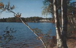 Fish Creek Pond & Highway Bridge, Adirondacks, NY Postcard