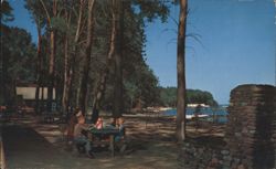 Picnicking Presque Isle State Park Bay Erie PA Postcard