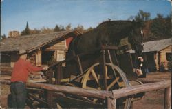 Horse Treadmill Sawing Logs, Frontier Town Postcard