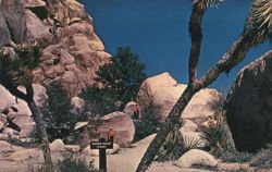 Hidden Valley, Joshua Tree National Monument Postcard