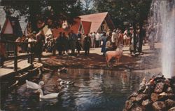 Animals Refreshing at Santa's Workshop Pond, North Pole, NY Postcard