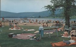 Beach at Red House Lake, Allegany State Park Postcard