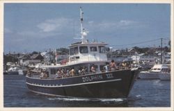 Dolphin III Whale Watching Boat, Provincetown, MA Postcard
