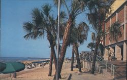 Myrtle Beach SC Pavilion & Palms Chrome Postcard Brandon Postcard