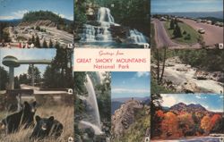 Great Smoky Mountains NP Multi-view Bears Chrome Postcard Postcard