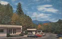 FONTANA VILLAGE RESORT Cafeteria Drug Store Gift Shop Postcard