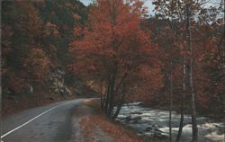 Fall Colors Little River Great Smoky Mountains National Park Postcard
