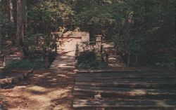 SAINT FRANCIS CHAPEL at Kanuga, Episcopal Conference Center Postcard