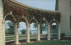 Coral Honeysuckle on Colonnades, Mount Vernon Mansion Postcard