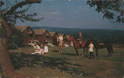 White Roe Livingston Manor, NY - Horseback Riding, Cabins Postcard