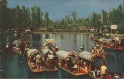 Xochimilco Trajineras, Floating Gardens, Mexico City Postcard