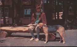 Rip Van Winkle, Rip's Retreat, Catskill Mts. Postcard