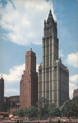 Woolworth Building, New York City Postcard