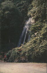 Beautiful Coca Falls at El Yunque Postcard