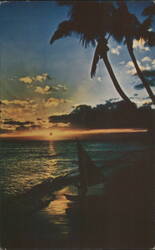 Sunset Jamaica, Palm Trees, Sailboat Postcard