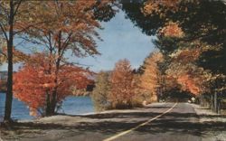 Autumn Foliage Road by Swan Lake, New York Postcard