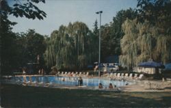 Williamsburg Inn Swimming Pool, Willows Postcard