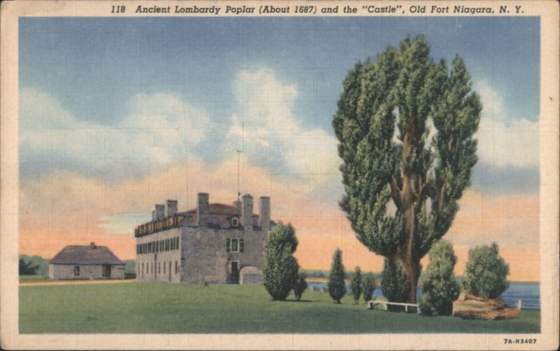 Ancient Lombardy Poplar and Castle, Old Fort Niagara Youngstown New York