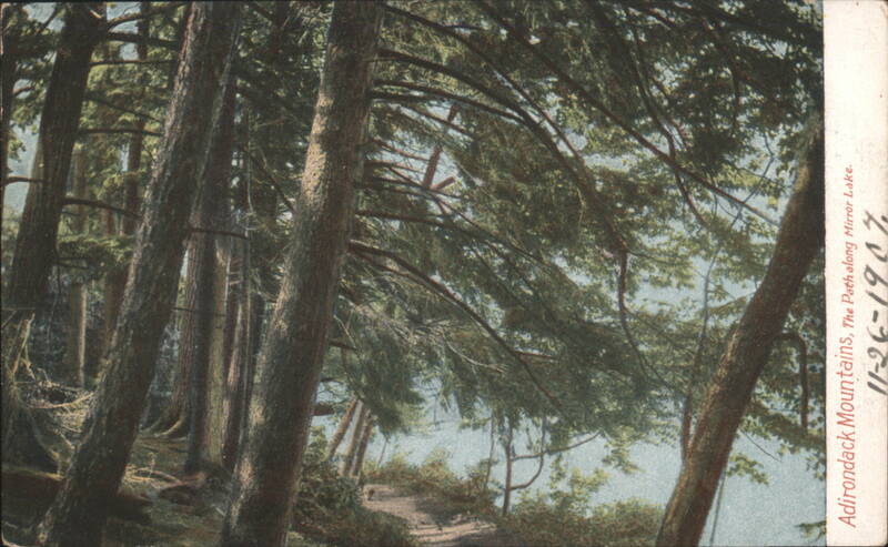 Adirondack Mountains, Path along Mirror Lake Trees