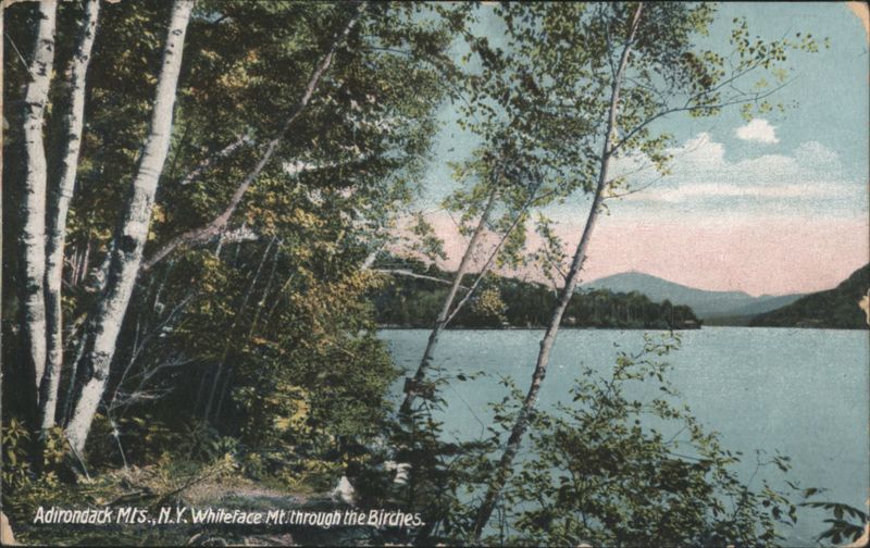 Adirondack Mts., Whiteface Mt. through the Birches New York