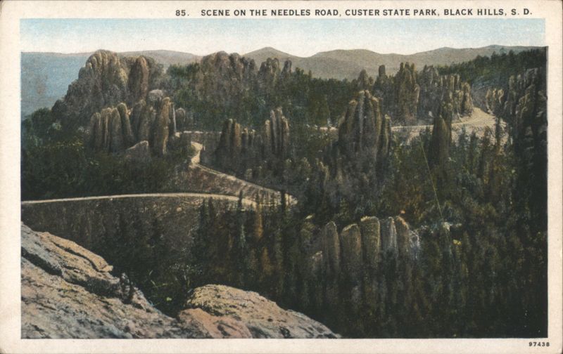 Scene on the Needles Road, Custer State Park, Black Hills South Dakota