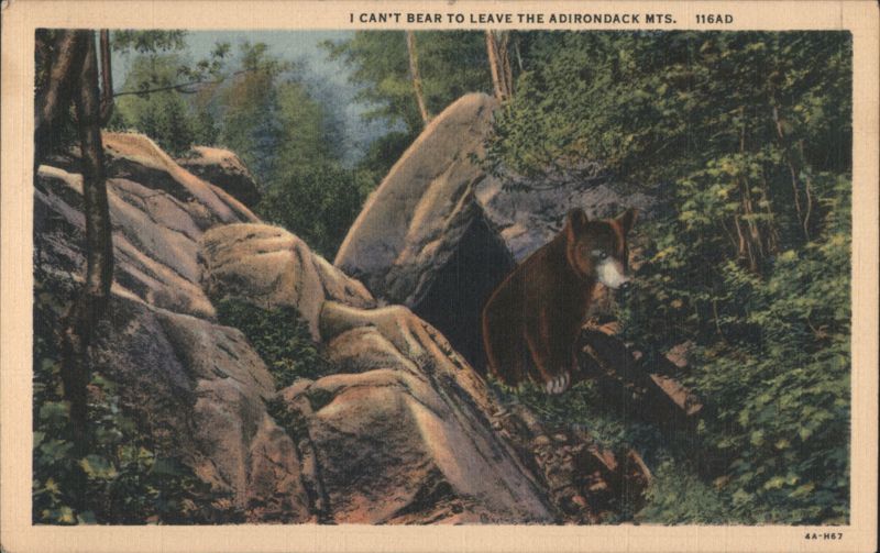 I Can't Bear to Leave the Adirondack Mts. Bears