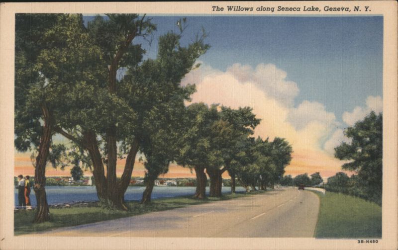 The Willows along Seneca Lake Geneva New York