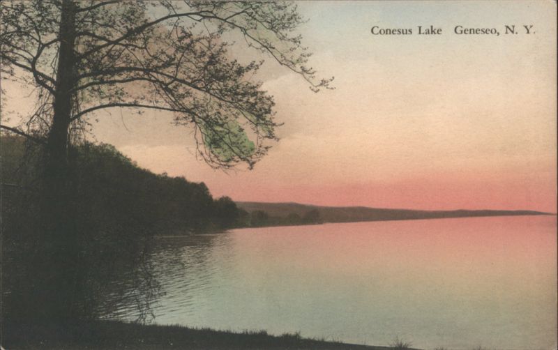 Conesus Lake Sunset with Tree Geneseo New York