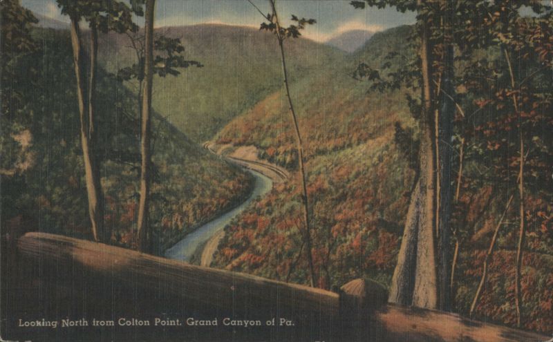 Looking North from Colton Point, Grand Canyon of PA Pennsylvania