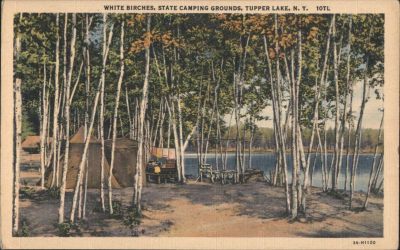 White Birches, State Camping Grounds, Tupper Lake New York
