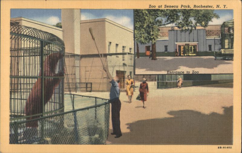 Zoo at Seneca Park, Rochester, NY New York