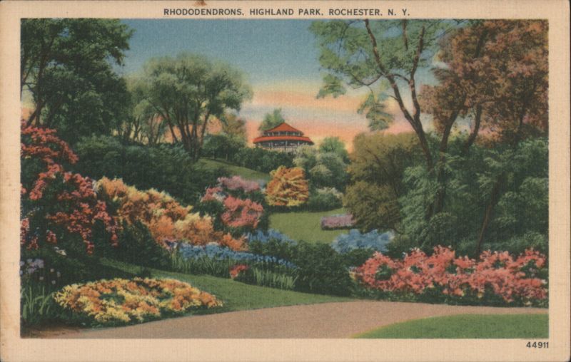 Rhododendrons, Highland Park, Rochester, NY New York