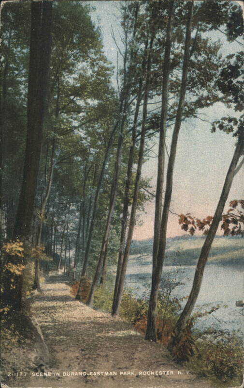 Wooded Path, Durand-Eastman Park Rochester New York