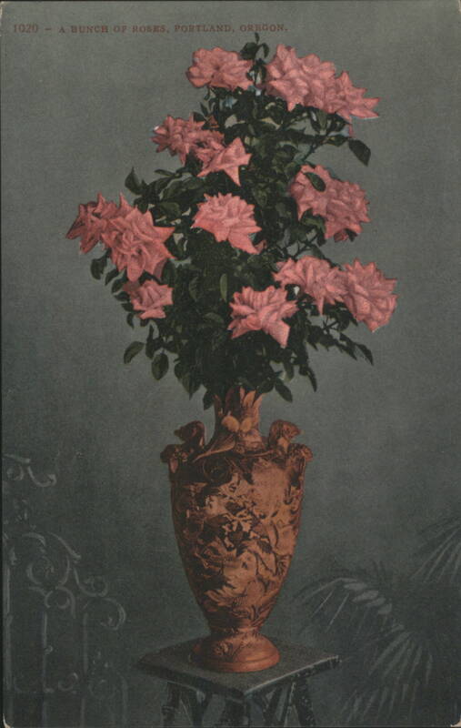 A Bunch of Roses in Vase, Portland, Oregon