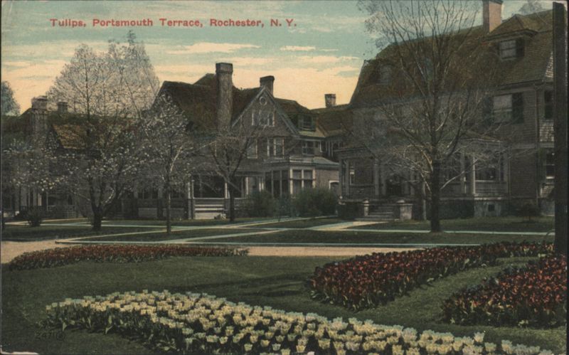 Tulips, Portsmouth Terrace, Rochester, N.Y. New York