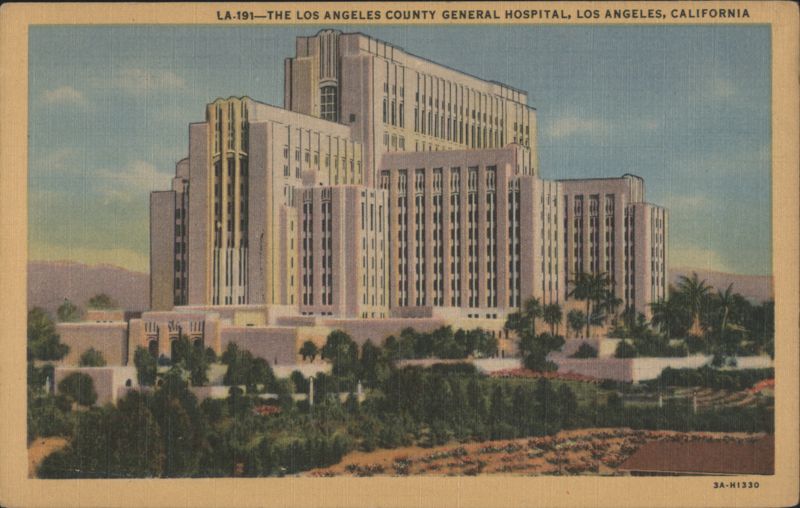The Los Angeles County General Hospital California
