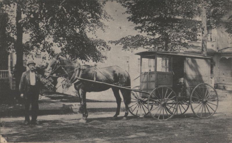 Man, Horse, Covered Buggy, Old Jack & Baldy Horse-Drawn