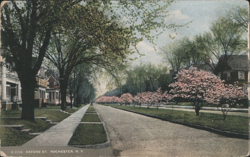 Oxford Street, Rochester, NY New York