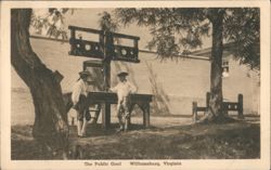 Public Gaol Stocks & Pillory, Williamsburg, Virginia Postcard