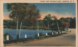 Road and Trees along Conesus Lake, Lakeville, NY Postcard