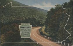 Pennsylvania The Keystone State Road & Forest View Postcard