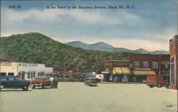 In the Heart of the Business Section Postcard