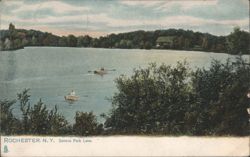 Seneca Park Lake, Rochester, NY Postcard