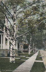 Brighton Street Tree-Lined Residential Area Postcard