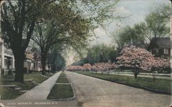 Oxford Street, Rochester, NY Postcard