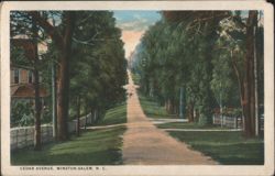 Cedar Avenue, Winston-Salem, N. C. Postcard