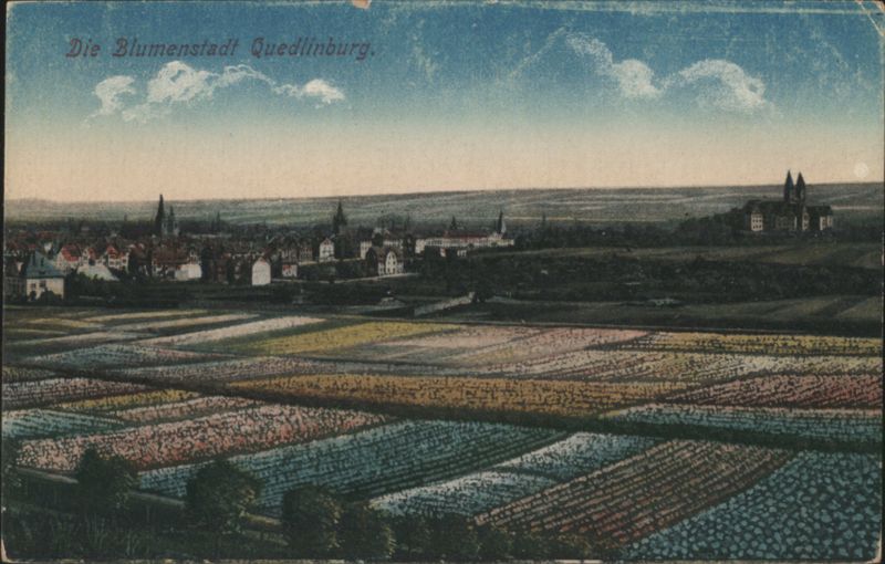 Quedlinburg Flower City Panoramic View Germany