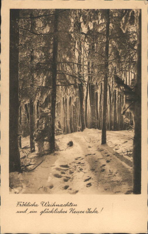 Fröhliche Weihnachten, Snowy Forest Path Christmas