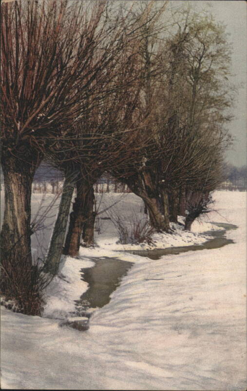 Winter Landscape with Pollarded Willows and Stream